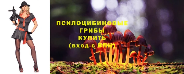 гашик Балабаново
