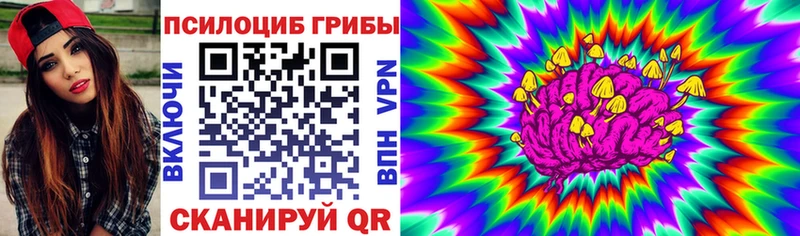 цены наркотик  Краснотурьинск  hydra сайт  Галлюциногенные грибы MAGIC MUSHROOMS 